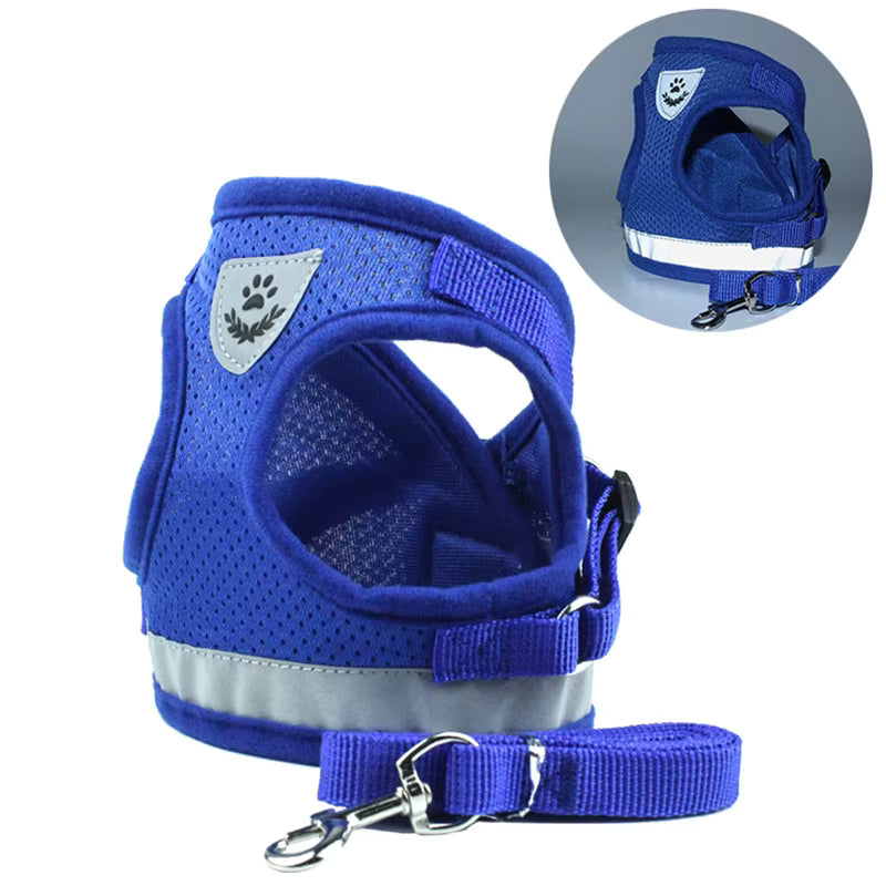 Adjustable Pet Harness with Leash