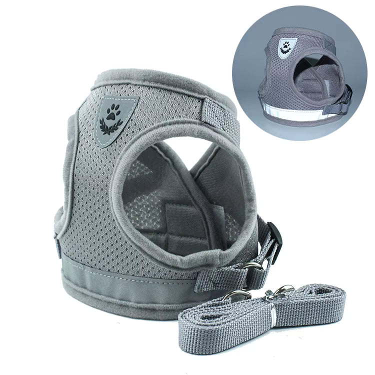 Adjustable Pet Harness with Leash