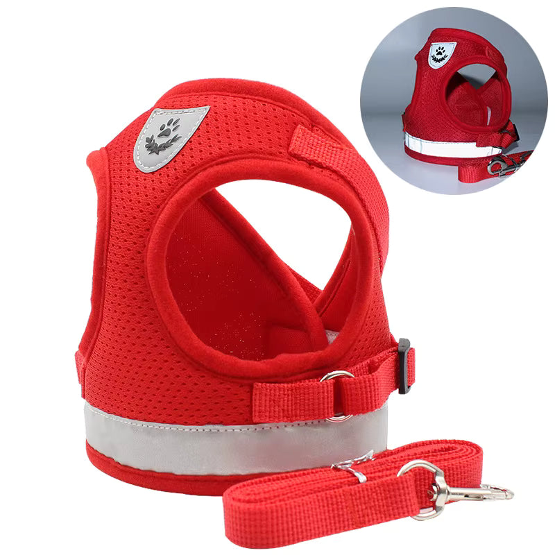 Adjustable Pet Harness with Leash