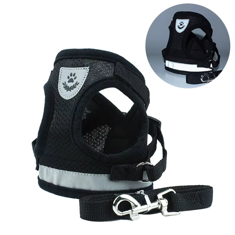 Adjustable Pet Harness with Leash