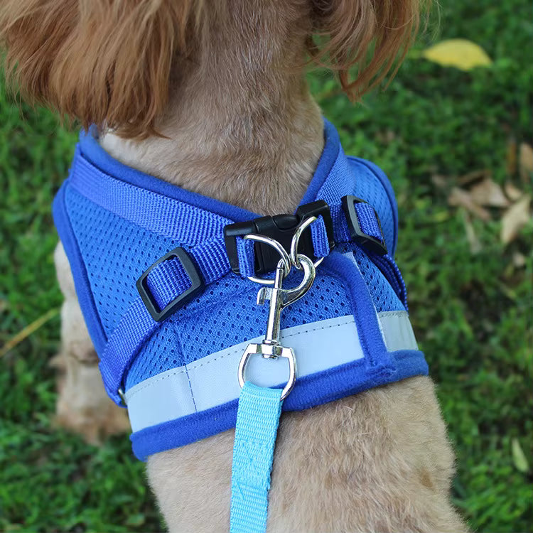 Adjustable Pet Harness with Leash