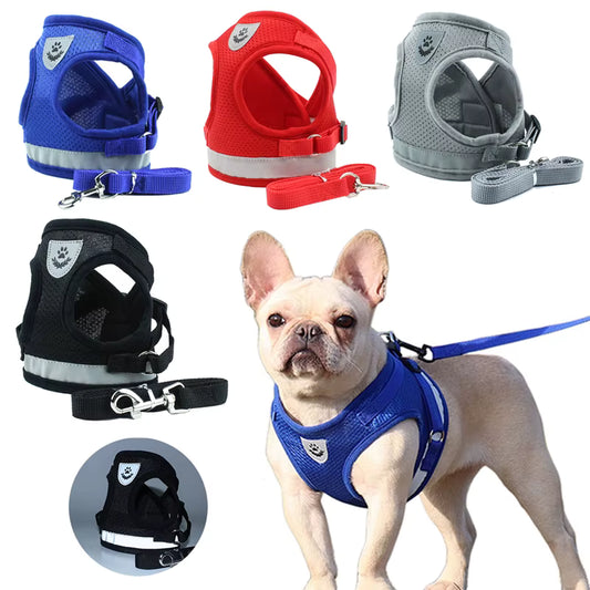 Adjustable Pet Harness with Leash