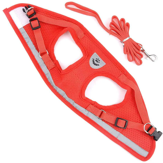 Adjustable Pet Harness with Leash